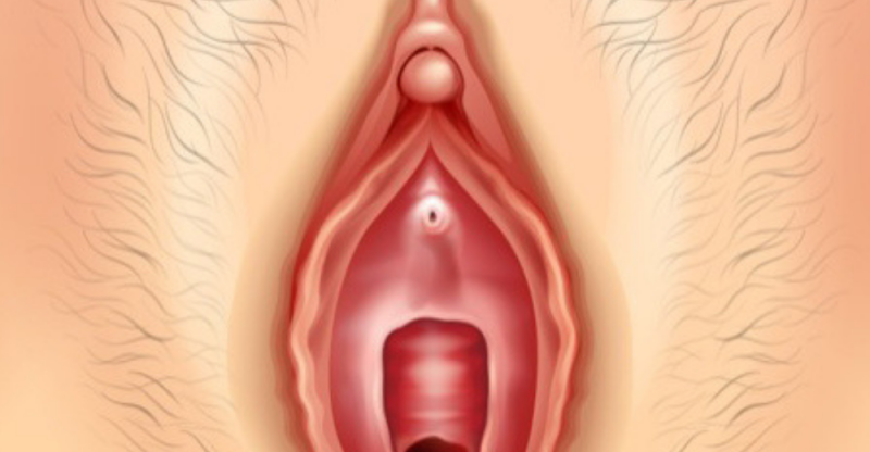 clitoride